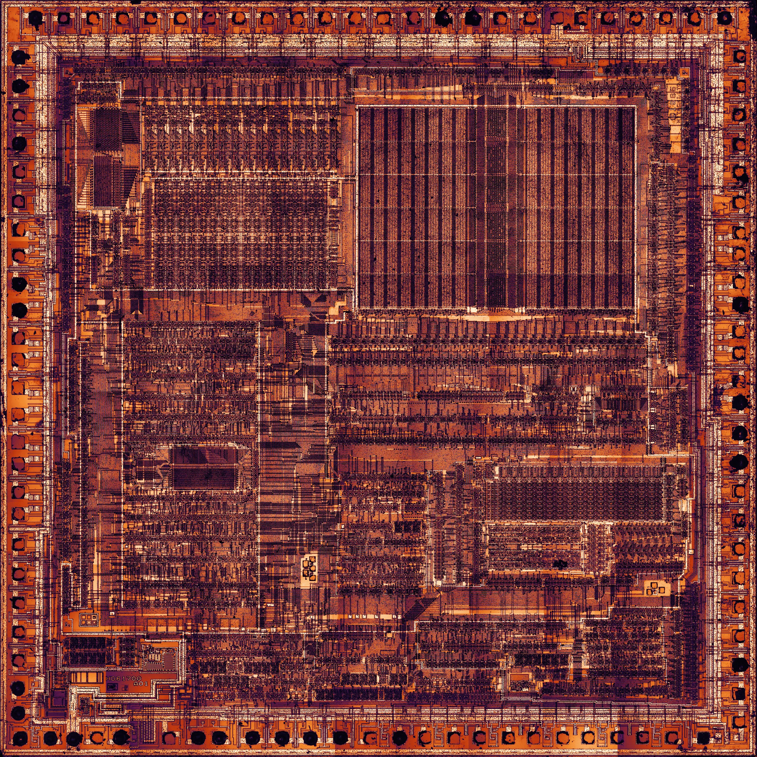 The top metal layer of a microprocessor die, under a microscope